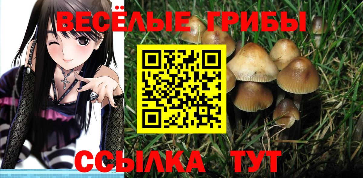 Галлюциногенные грибы GOLDEN TEACHER  Вход с VPN  Орск 